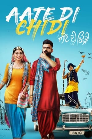 Aate di chidi (2018) Punjabi Movie | Dubbed Hindi Movie HDRip - [400MB]