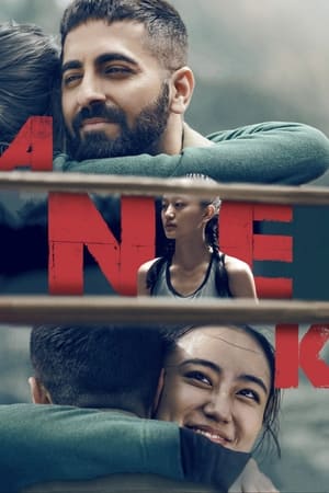 Anek 2022 Movie HDRip | Dubbed Hindi Movie – 480p