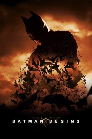 Batman Begins (2005) Dual Audio Bluray | Dubbed Hindi Movie [980MB] Download