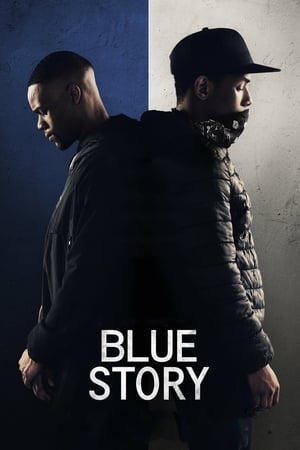 Blue Story (2019) Dual Audio HDRip | Dubbed Hindi Movie – 480p