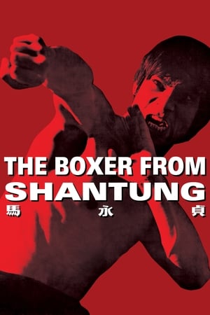 Boxer from Shantung (1972) Dual Audio | Dubbed Hindi Movie BluRay [1.2GB]