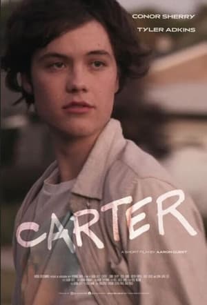 Carter (2022) Dual Audio HDRip | Dubbed Hindi Movie – 480p