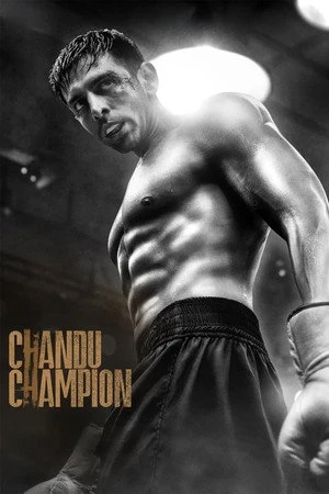 Chandu Champion 2024 Dual Audio WEB-DL | Dubbed Hindi Movie