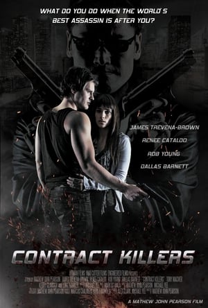 Contract Killers (2014) 100mb Dual Audio movie Hevc BRRip Download