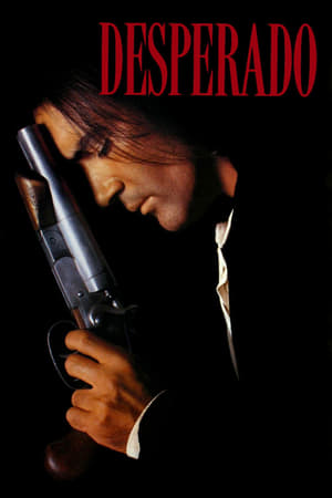 Desperado 1995 Dual Audio | Dubbed Hindi Movie BluRay [870MB]