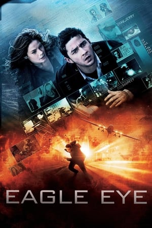 Eagle Eye (2008) Dual Audio | Dubbed Hindi Movie BluRay [1.3GB] ESubs
