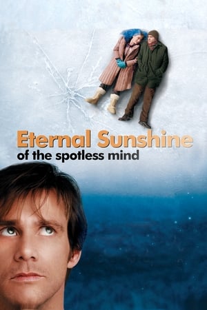 Eternal Sunshine Of The Spotless Mind 2004 Dual Audio | Dubbed Hindi Movie BluRay 300MB