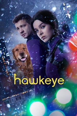 HawkEye (2021) Season 1 Dual Audio HDRip | Dubbed Hindi Movie – 480p [1- 6 Episodes]