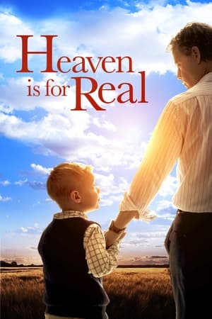 Heaven Is for Real (2014) Dual Audio | Dubbed Hindi Movie BluRay [850MB] ESubs