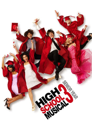 High School Musical 3 (2008) Dual Audio | Dubbed Hindi Movie BluRay [950MB]