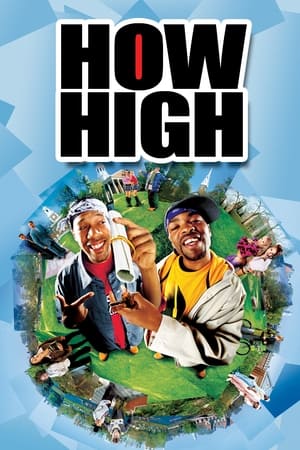 How High (2001) Dual Audio | Dubbed Hindi Movie WebRip 300MB