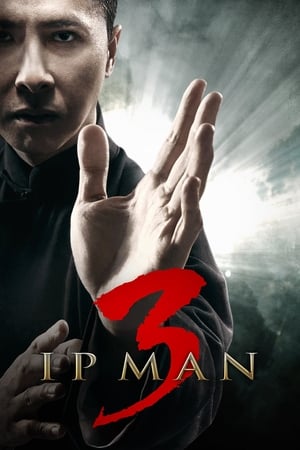 Ip Man 3 (2015) Dual Audio | Dubbed Hindi Movie HDRip [900MB]