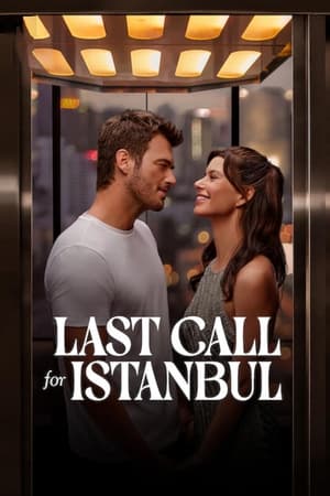 Last Call for Istanbul 2023 Dual Audio HDRip | Dubbed Hindi Movie – 480p