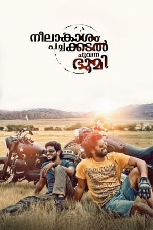 Neelakasham Pachakadal Chuvanna Bhoomi (2013) Dubbed | Dubbed Hindi Movie HDRip 450MB