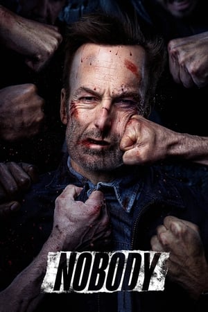Nobody (2021) (Cleaned) Dual Audio | Dubbed Hindi Movie Web-DL [880MB]