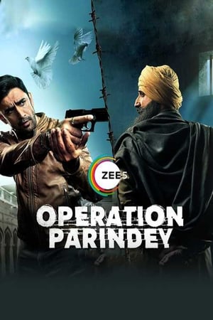 Operation Parindey 2020 Movie | Dubbed Hindi Movie HDRip x264 [500MB]