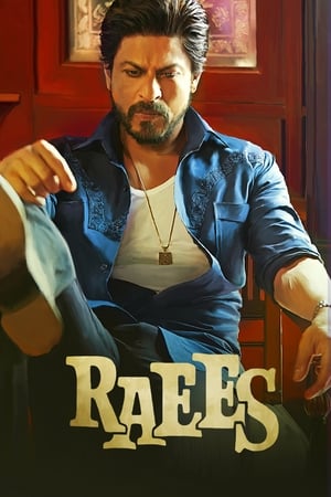 Raees (2017) 400MB Full Movie | Dubbed Hindi Movie DVDRip Download
