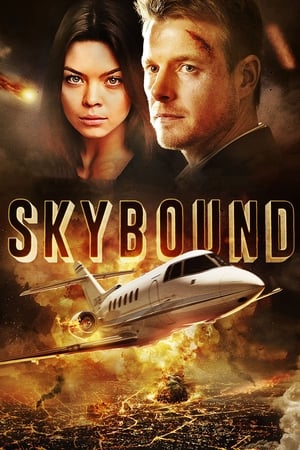 Skybound (2017) Dual Audio | Dubbed Hindi Movie BluRay 350MB