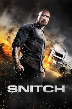 Snitch (2013) Dual Audio | Dubbed Hindi Movie BluRay [930MB]