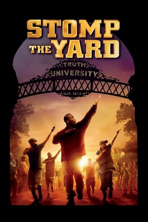 Stomp The Yard (2007) Dual Audio | Dubbed Hindi Movie BluRay 360MB