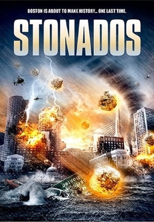 Stonados (2013) Dual Audio | Dubbed Hindi Movie BluRay [840MB]