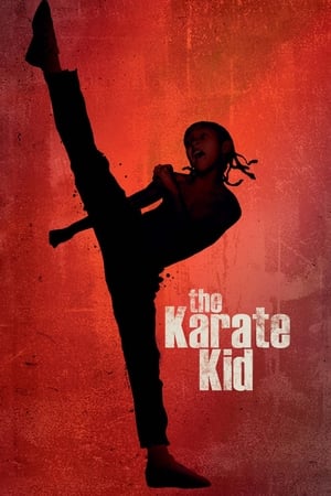 The Karate Kid 2010 Dubbed | Dubbed Hindi Movie Bluray 1GB Movie