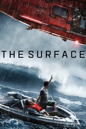 The Surface (2014) Dual Audio | Dubbed Hindi Movie Web-DL [800MB]