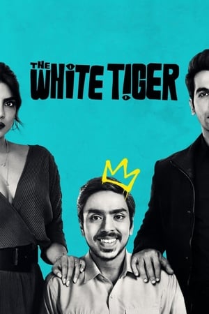 The White Tiger (2021) Movie | Dubbed Hindi Movie HDRip x264 [990MB]