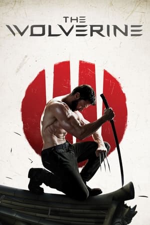 The Wolverine (2013) Dual Audio | Dubbed Hindi Movie BluRay [1.2GB]