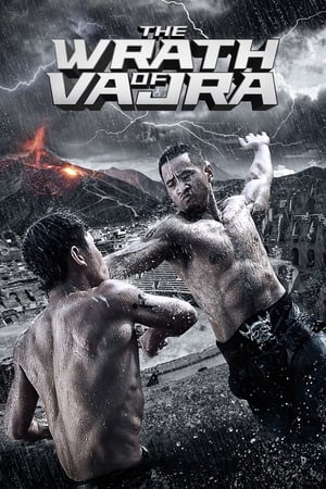 The Wrath of Vajra (2013) Dual Audio | Dubbed Hindi Movie BluRay [900MB]