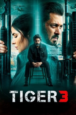 Tiger 3 2023 (ORG) Web-DL | Dubbed Hindi Movie – 480p
