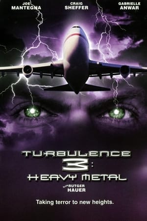 Turbulence 3 Heavy Metal 2001 Dual Audio | Dubbed Hindi Movie Web-DL [1GB]
