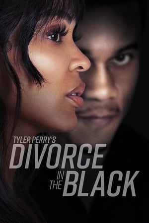 Tyler Perry’s Divorce in the Black (2024) Dual Audio HDRip | Dubbed Hindi Movie – 720p – 480p