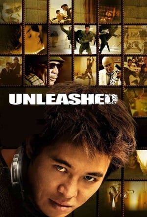 Unleashed (2005) Dual Audio | Dubbed Hindi Movie BluRay [1.1GB]
