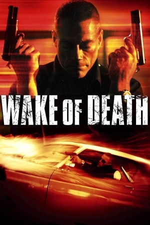 Wake of Death 2004 Dual Audio | Dubbed Hindi Movie BluRay 300MB